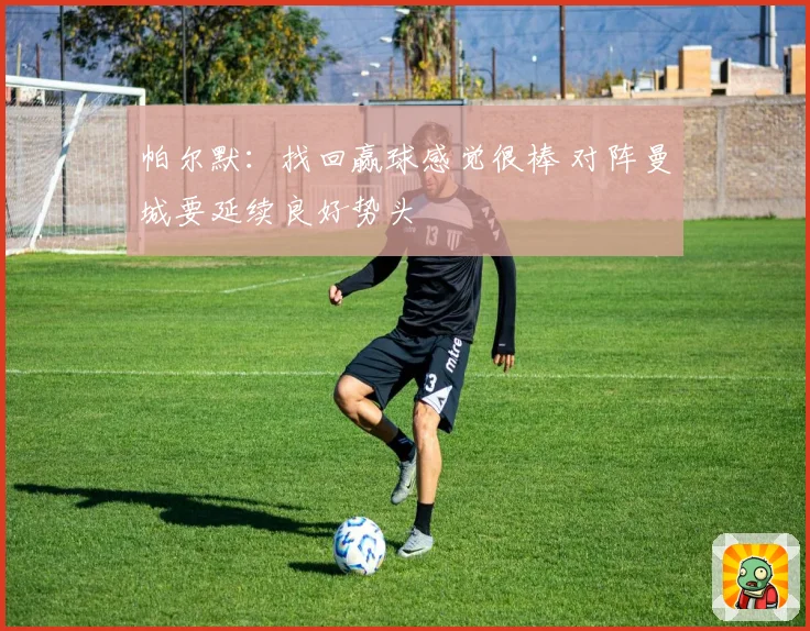 帕尔默：找回赢球感觉很棒 对阵曼城要延续良好势头