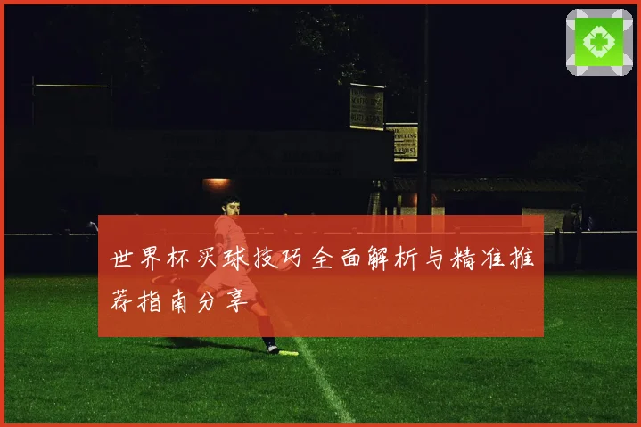 世界杯买球技巧全面解析与精准推荐指南分享