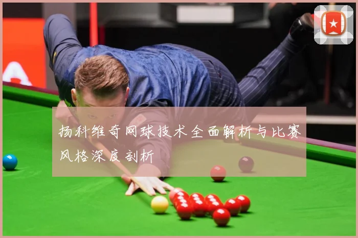 扬科维奇网球技术全面解析与比赛风格深度剖析
