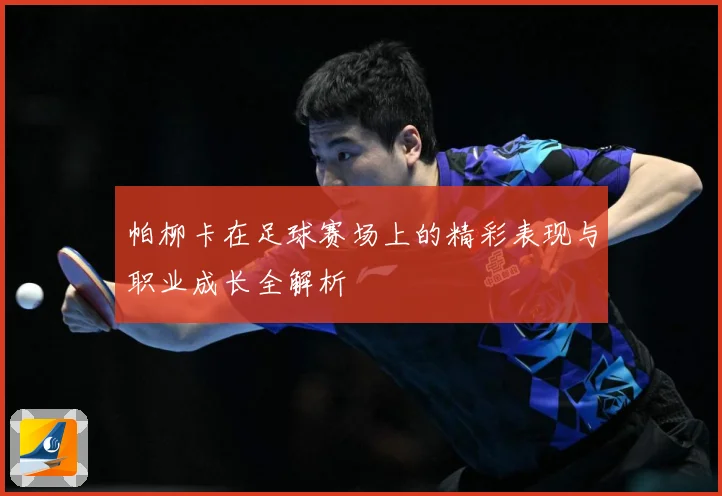 帕柳卡在足球赛场上的精彩表现与职业成长全解析