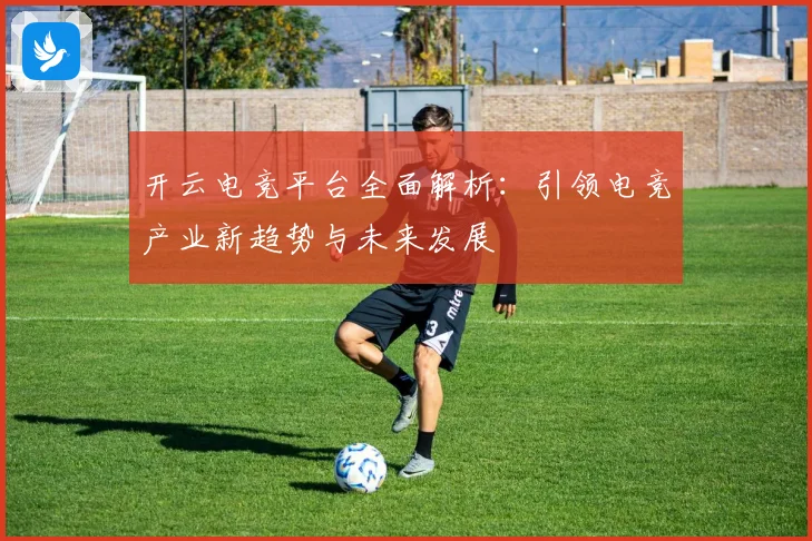 开云电竞平台全面解析：引领电竞产业新趋势与未来发展