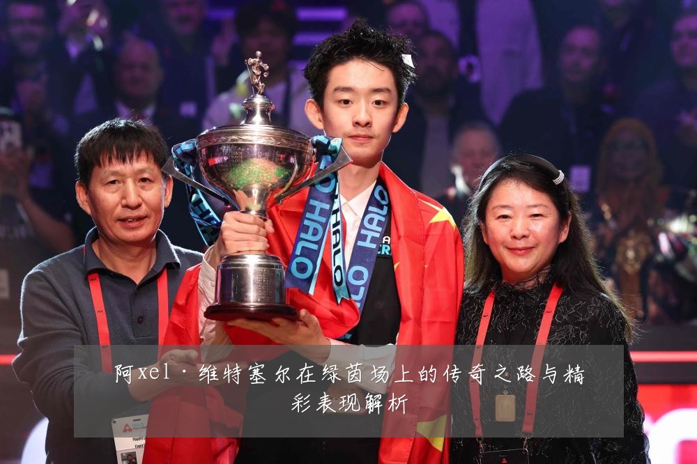 阿xel·维特塞尔在绿茵场上的传奇之路与精彩表现解析