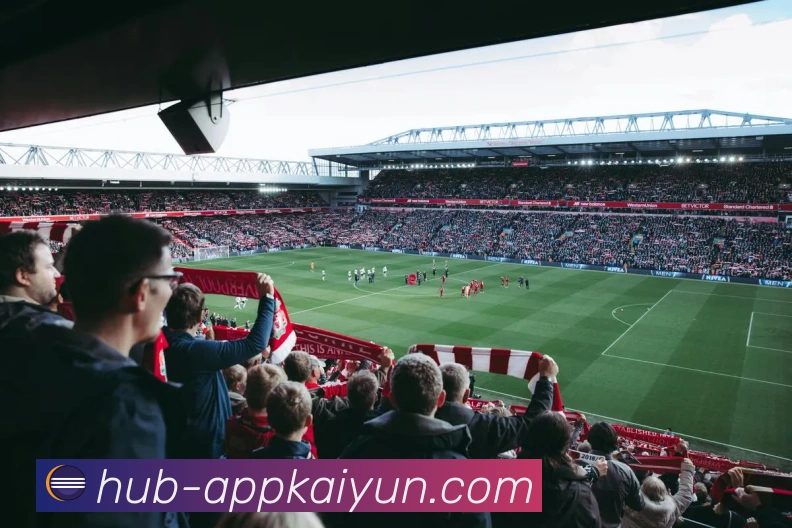 开云平台展示图